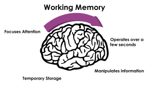 working-memory